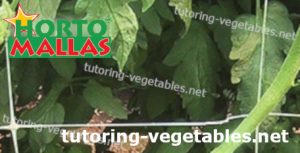 vertical support system in cropfield