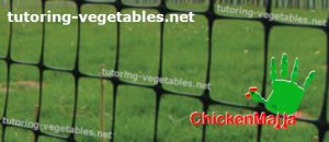 chicken net installed on garden